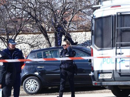 Извикаха компаньонки на мафиотско секс парти и ги убиха