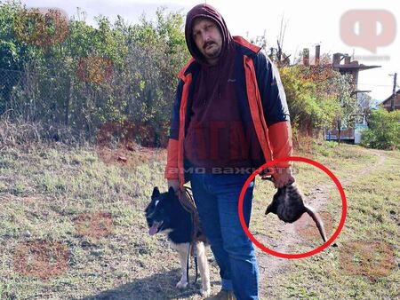 Странен чужденец храни кучето си с домашните котки на несебърското с. Тънково