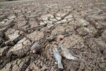 КЕВР с анализ заради безводието, дава препоръки на ВиК дружествата