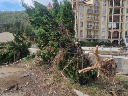 Доброволци, спасявали хора в Елените, са били обрани