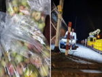 Кражба на ябълки доведе до масови уволнения на държавни служители