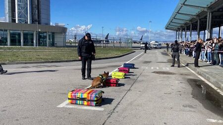 Над 400 ученици се събраха на тазгодишната национална среща на кампанията „Не сте сами“