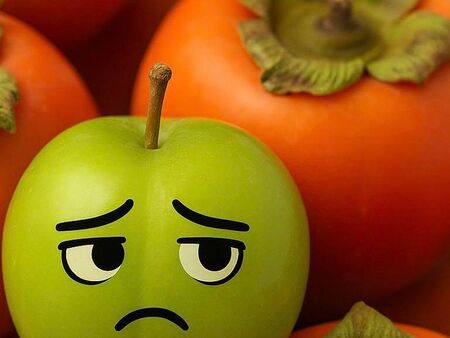 Приказка за киселата джанка и райската ябълка (ПОЛИТИЧЕСКА САТИРА)