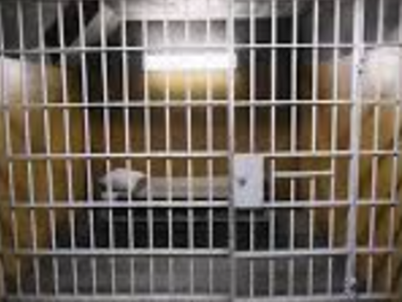 20 г. затвор за мъж за жестоко убийство в София