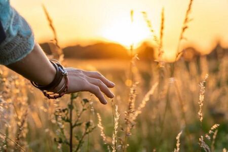 На 30 ноември, числото 30 носи вдъхновение за 4 зодии