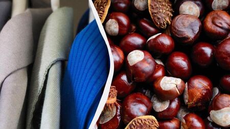 Защо всички слагат кестени в гардероба си