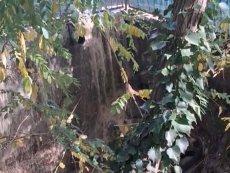 Наводнение във Варна