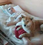 Ники от Калофер: Господа управляващи, спрете да крадете, живее ми се!