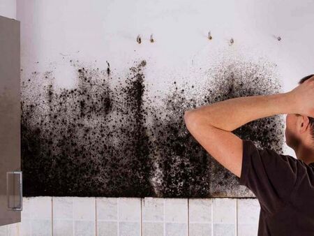 Ето как да се отървем от мухъла у дома