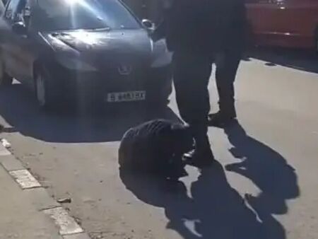 Видео, запечата брутален бой между полицаи и роми, пищят жени