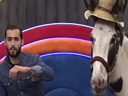 Защо вкараха магаре в Къщата на Биг Брадър