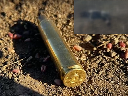 Мистериозен стрелец уцели домашно куче в сърцето, убийството се случи пред очите на стопанката