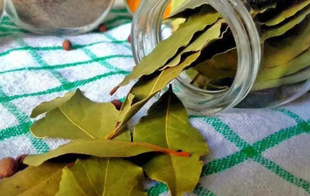 На 2 месеца слагам дафинов лист в хладилника