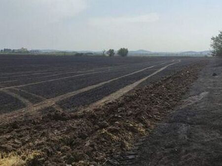 Тазе промени могат да лишат 3 милиона българи от доходи