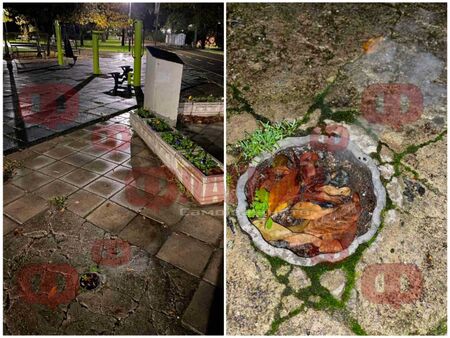 Кой сряза тази лампа в Морската градина на Бургас? Всеки момент тук може да се изпържи дете (ВИДЕО)