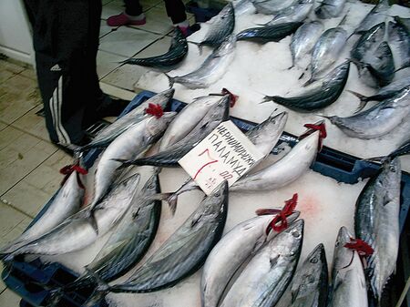 Паламудът избяга, само стар, замразен продават