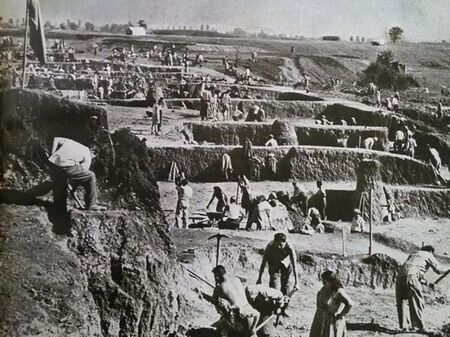 Това бе една от най-чудатите идеи през соца - да се създаде море край София