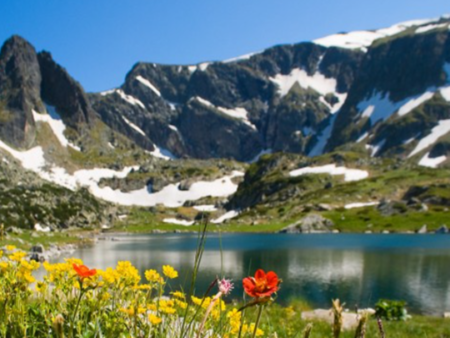 Страшна екокатастрофа заплашва България