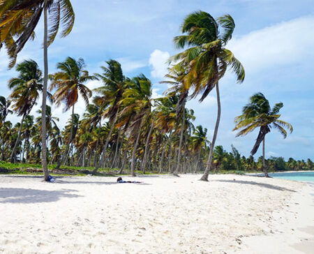 Турист посети една от най-красивите, но и опасни страни в света и само след 24 часа го откриха мъртъв