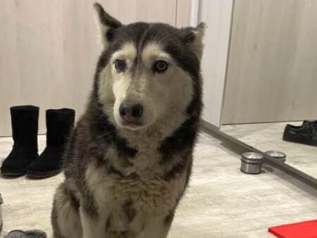 Протест под прозорците на ВМА, хора ще настояват за справедливост за Мая