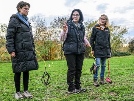 Новата мания хоби-догинг - разхождаш каишка без куче, говориш й, събираш ако