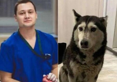 Парична гаранция от 5000 лв. за Ненад Цоневски, прегазил и убил кучето Мая