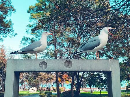 Предстои топъл уикенд, от вторник обаче температурите падат