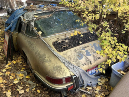 Луксозна кола прекара 31 години под борови шишарки