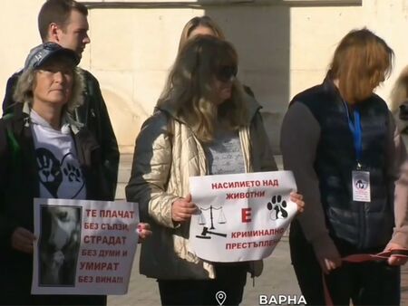 Вижте къде в Бургас да изкарате курс за оръжие или да постреляте за удоволствие