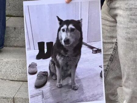 Протест в защита на животните блокира трамваите в София