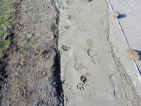 Сигнал до Флагман.бг: Кой идиот потъпка труда на хората и остави трайни следи по този път?