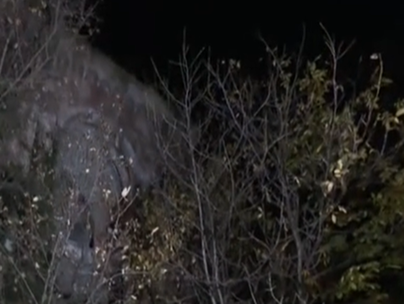 Подробности за екшъна с 4 деца в София - защо се стигна до спешна намеса на пожарникари