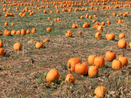 Вижте къде в Бургас да изкарате курс за оръжие или да постреляте за удоволствие