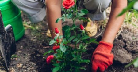 Извънредно! Петролен бос е застрелян в София