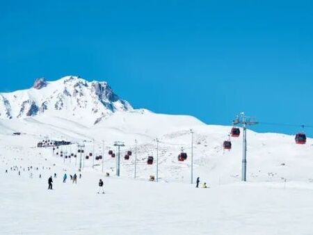 Извънредно! Петролен бос е застрелян в София