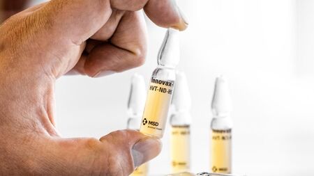 Хоспитализираха американец с щам на птичи грип, неоткриван досега при хора