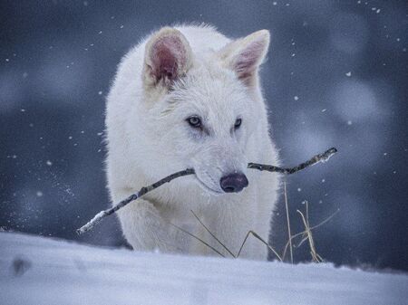 Лидерът на БСП-Бургас Живко Господинов: Няма да подкрепим Бюджет 2019 заради липса на прозрачност