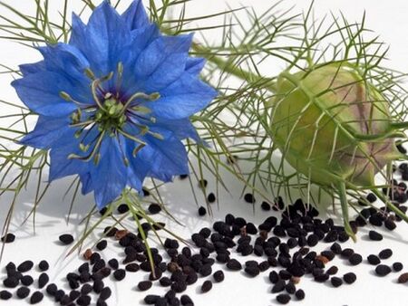 Ето коя подправка може да помогне в борбата с „лошия“ холестерол