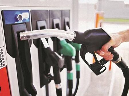 Съпругата на Пламен Бобоков блесна в галерията на Ники Младжов (СНИМКИ)