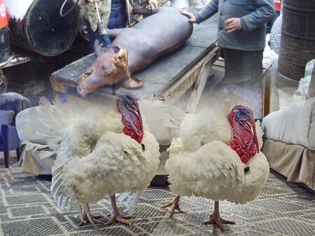 Хайде да си направим български Ден на благодарността!