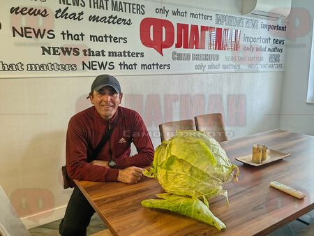 Зелка гигант в Бургаско счупи рекорда на България