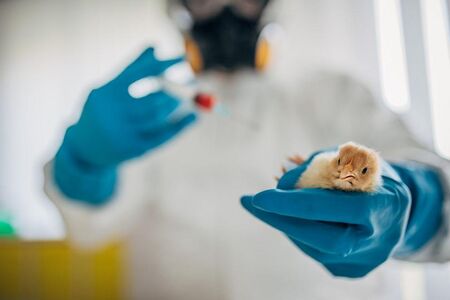 Учени предупреждават: Птичият грип може да предизвика пандемия, по-тежка от COVID-19