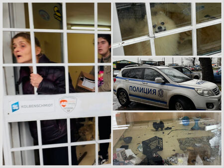 Лют скандал: Бургазлийка превзе имот и го напълни с животни, оставени сами 10 дни (ВИДЕО)