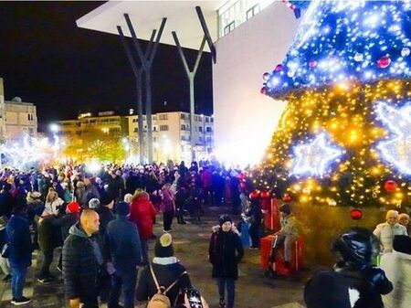 Елхата в Несебър грейва днес – коледната магия започва с крокодилче и писма до Дядо Коледа