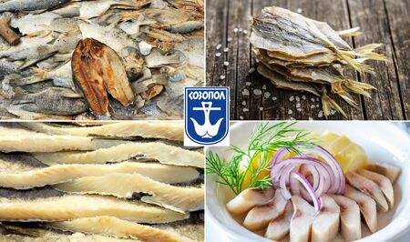 Вижте къде в Бургас да изкарате курс за оръжие или да постреляте за удоволствие