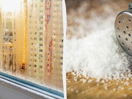 Поставете сол на прозореца тази зима и забравете за влагата и конденза