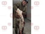 Рекордно голям шаран от язовир край Божура впечатли рибарите за Никулден