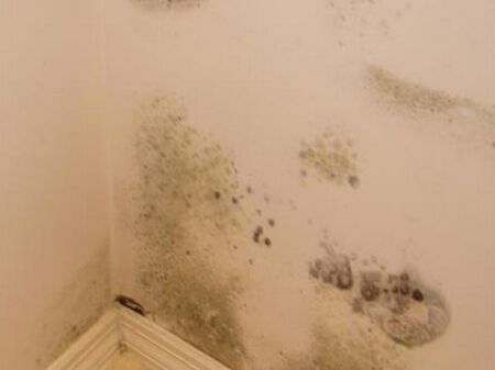 Вижте къде в Бургас да изкарате курс за оръжие или да постреляте за удоволствие