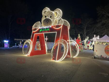 Ръководителят на ЦАУ Зора д р Георги Митев кани всички