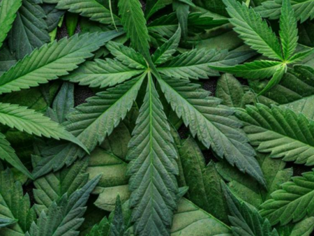 Демонтират Часовника на Бургас, ето защо